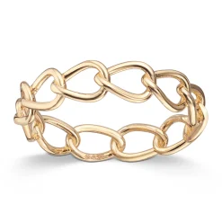 Ring Gult gull