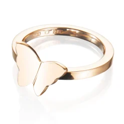 Ring Gult gull