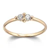 Ring Gult gull