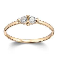 Ring Gult gull