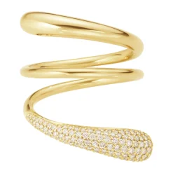 Ring Gult gull