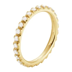 Ring Gult gull