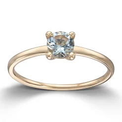 Ring Gult gull