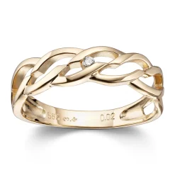 Ring Gult gull