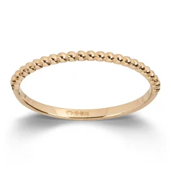 Ring Gult gull