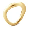 Ring Gult gull
