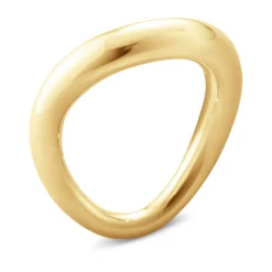 Ring Gult gull