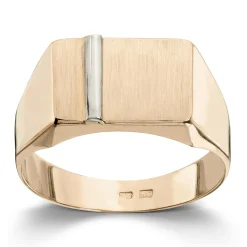 Ring Gult gull