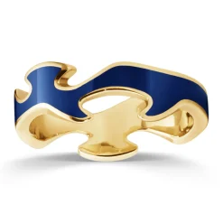 Ring Gult gull