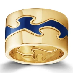 Ring Gult gull