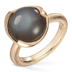 Ring Gult gull