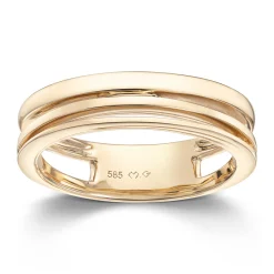 Ring Gult gull