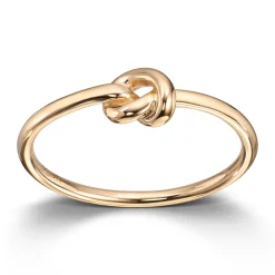 Ring Gult gull
