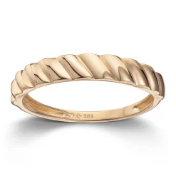 Ring Gult gull