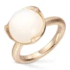Ring Gult gull