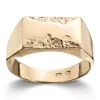 Ring Gult gull