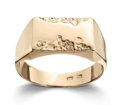 Ring Gult gull