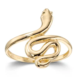 Ring Gult gull