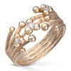 Ring Gult gull