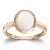 Ring Gult gull