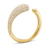 Ring Gult gull