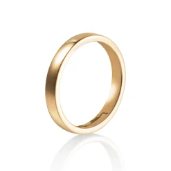 Ring Gult gull