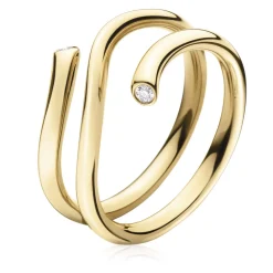 Ring Gult gull