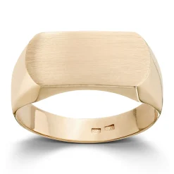 Ring Gult gull