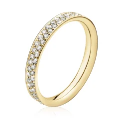 Ring Gult gull