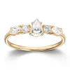 Ring Gult gull