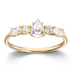 Ring Gult gull