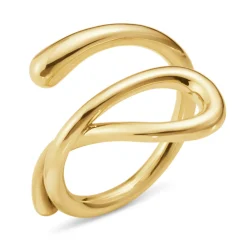 Ring Gult gull