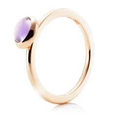 Ring Gult gull