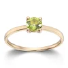 Ring Gult gull