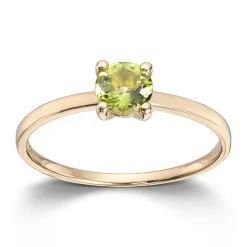Ring Gult gull