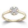 Ring Gult gull