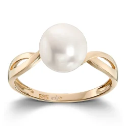 Ring Gult gull