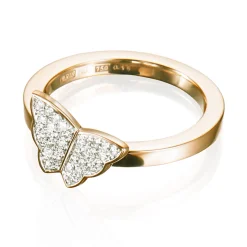 Ring Gult gull