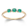 Ring Gult gull