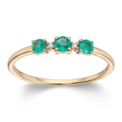 Ring Gult gull
