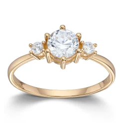 Ring Gult gull