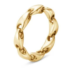 Ring Gult gull