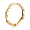 Ring Gult gull