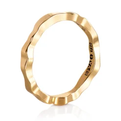 Ring Gult gull