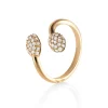 Ring Gult gull