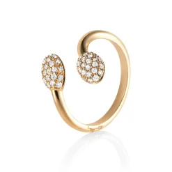 Ring Gult gull