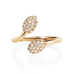 Ring Gult gull