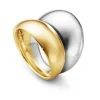 Ring Gult gull