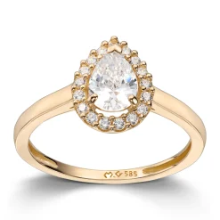 Ring Gult gull