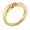 Ring Gult gull